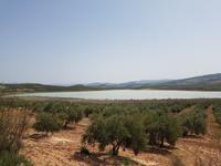 Laguna Salobral - Via Verde del Aceite