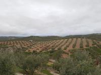 Via Verde del Aceite