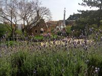 Park Guell