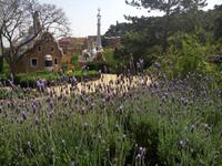 Park Guell