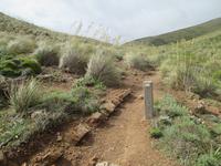 Wanderung von Cala Tirant nach Binimel-lá