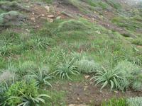 Wanderung von Cala Tirant nach Binimel-lá