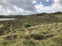 Wanderung von Cala Tirant nach Binimel-lá