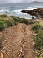 Wanderung von Cala Tirant nach Binimel-lá