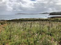 Wanderung von Cala Tirant nach Binimel-lá