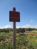 Wanderung von Cala Tirant nach Binimel-lá