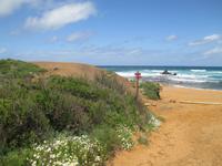 Platja de Cavalleria