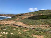 Wanderung von Cala Tirant nach Binimel-lá