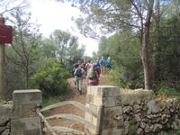 Wanderung Son Bou nach Es Canutells