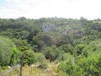 Wanderung Son Bou nach Es Canutells