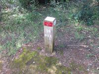 Wanderung Son Bou nach Es Canutells