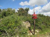 Wanderung Son Bou nach Es Canutells