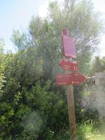 Wanderung Son Bou nach Es Canutells