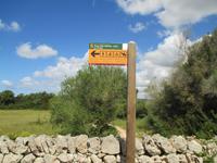 Wanderung Son Bou nach Es Canutells