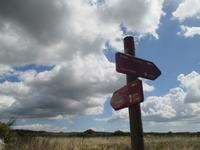 Wanderung Son Bou nach Es Canutells