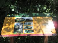 Wanderung Son Bou nach Es Canutells