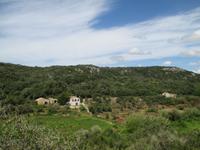 Wanderung Son Bou nach Es Canutells