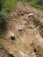 Wanderung Son Bou nach Es Canutells