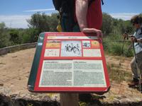 Wanderung Son Bou nach Es Canutells