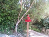 Wanderung Son Bou nach Es Canutells