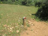 Wanderung Son Bou nach Es Canutells