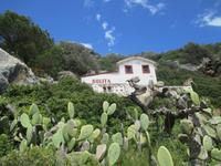 Wanderung Son Bou nach Es Canutells