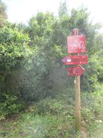 Wanderung Son Bou nach Es Canutells