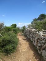 Wanderung Son Bou nach Es Canutells