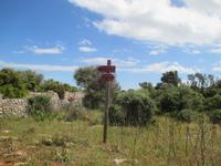 Wanderung Son Bou nach Es Canutells