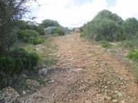 Wanderung Son Bou nach Es Canutells