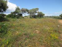 Wanderung Son Bou nach Es Canutells