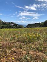 Wanderung Son Bou nach Es Canutells