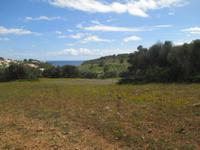 Wanderung Son Bou nach Es Canutells