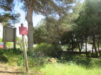 Wanderung Son Bou nach Es Canutells