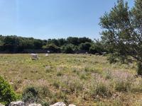 Wanderung von Es Migjorn Gran an den Strand von Cala Galdana