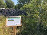 Wanderung von Es Migjorn Gran an den Strand von Cala Galdana