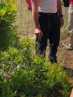 Wanderung von Es Migjorn Gran an den Strand von Cala Galdana