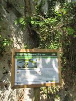 Wanderung von Es Migjorn Gran an den Strand von Cala Galdana