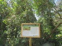 Wanderung von Es Migjorn Gran an den Strand von Cala Galdana