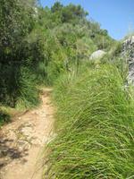 Wanderung von Es Migjorn Gran an den Strand von Cala Galdana