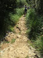 Wanderung von Es Migjorn Gran an den Strand von Cala Galdana