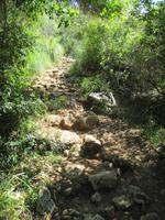 Wanderung von Es Migjorn Gran an den Strand von Cala Galdana
