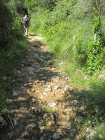 Wanderung von Es Migjorn Gran an den Strand von Cala Galdana