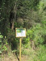 Wanderung von Es Migjorn Gran an den Strand von Cala Galdana