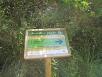 Wanderung von Es Migjorn Gran an den Strand von Cala Galdana