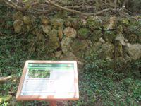 Wanderung von Es Migjorn Gran an den Strand von Cala Galdana