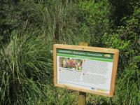 Wanderung von Es Migjorn Gran an den Strand von Cala Galdana
