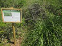 Wanderung von Es Migjorn Gran an den Strand von Cala Galdana