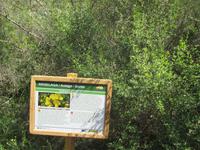 Wanderung von Es Migjorn Gran an den Strand von Cala Galdana