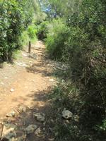 Wanderung von Es Migjorn Gran an den Strand von Cala Galdana